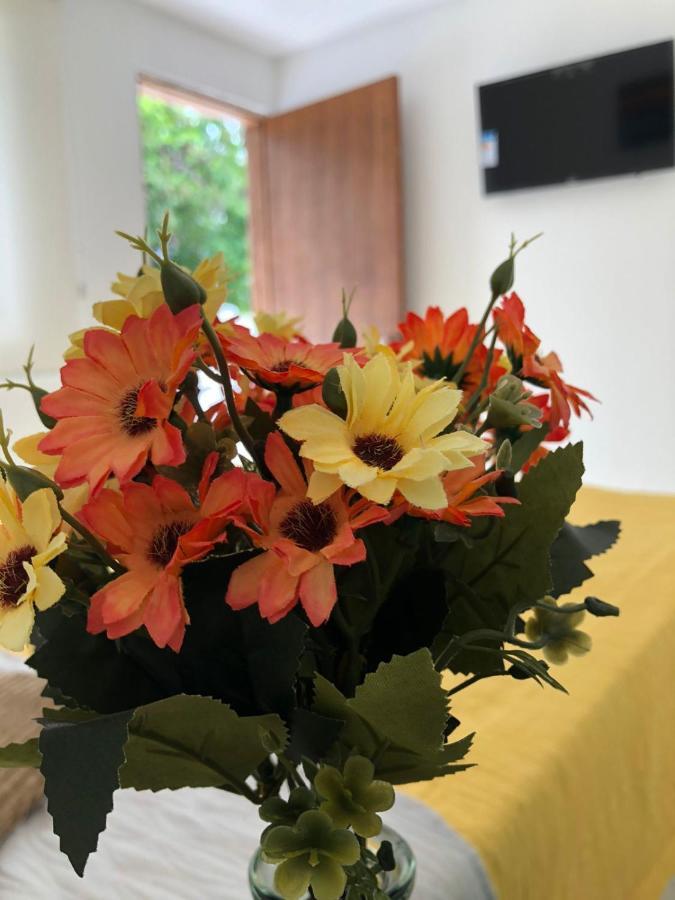 Pousada Margarida Guest house